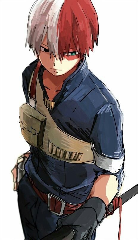 MHA Todoroki PFP
