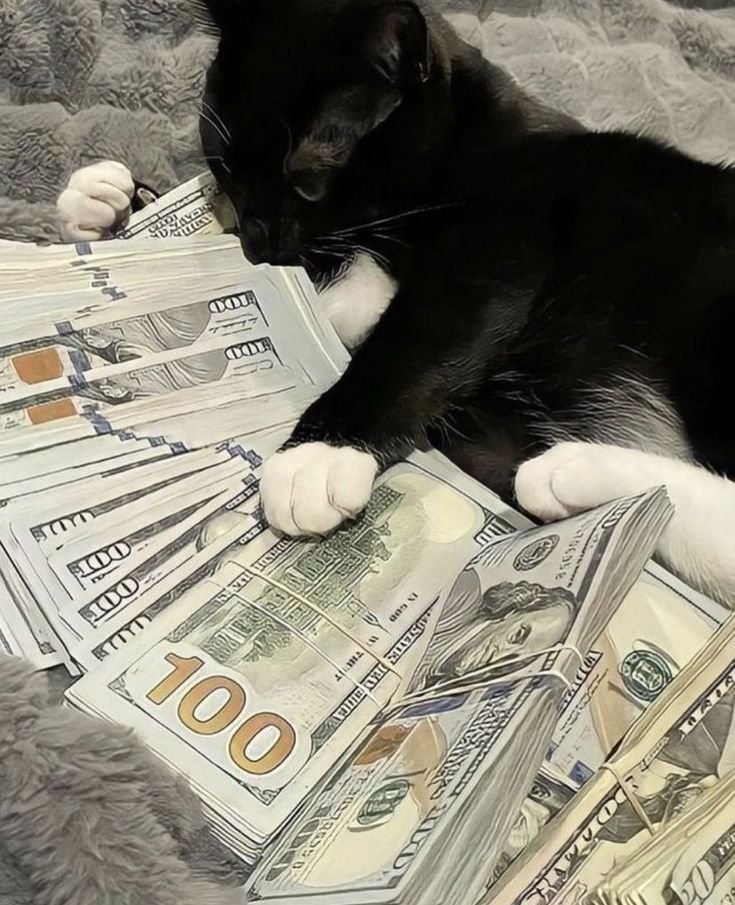 Money PFP Cute