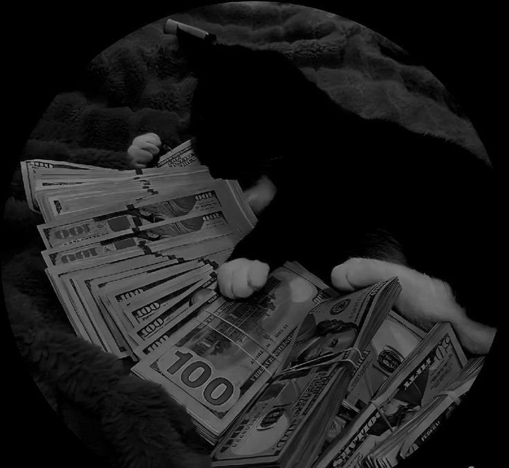 Money PFP Discord