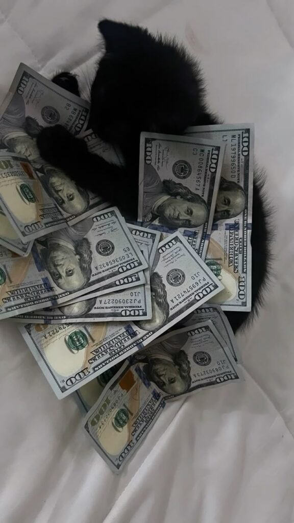 Money PFP For Instagram