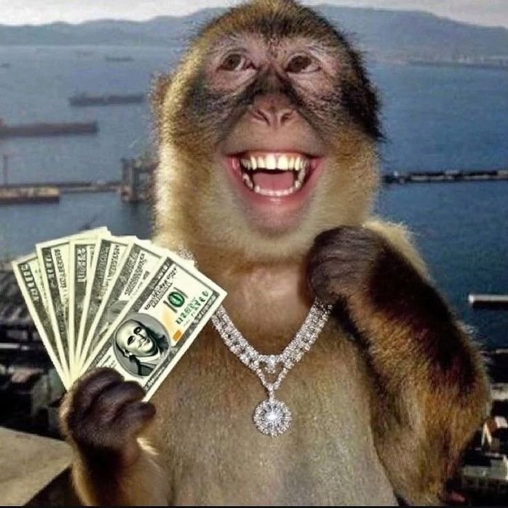 Money PFP Funny