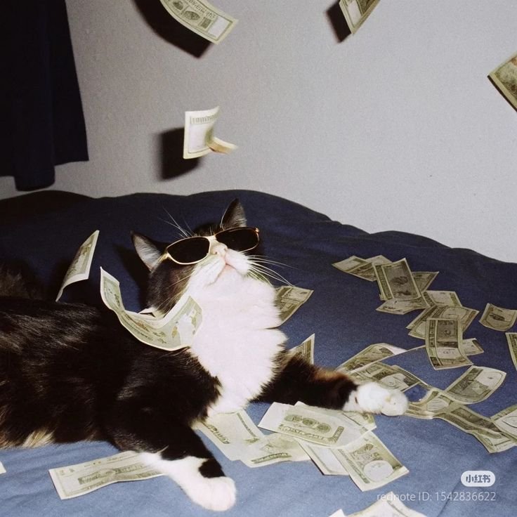 Money PFP Luxury