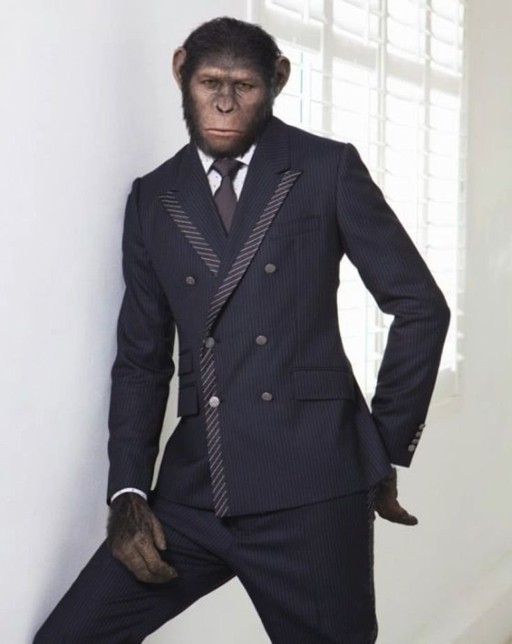 Monkey PFP Boy