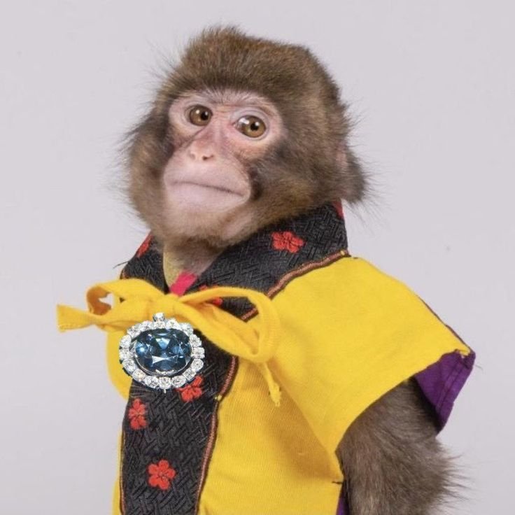 Monkey PFP Discord