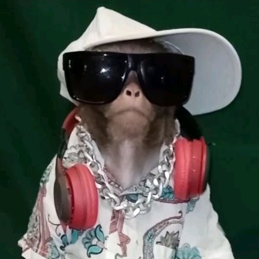 Monkey PFP Meme