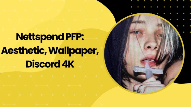 Nettspend PFP