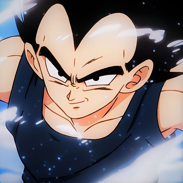 Prince Vegeta PFP