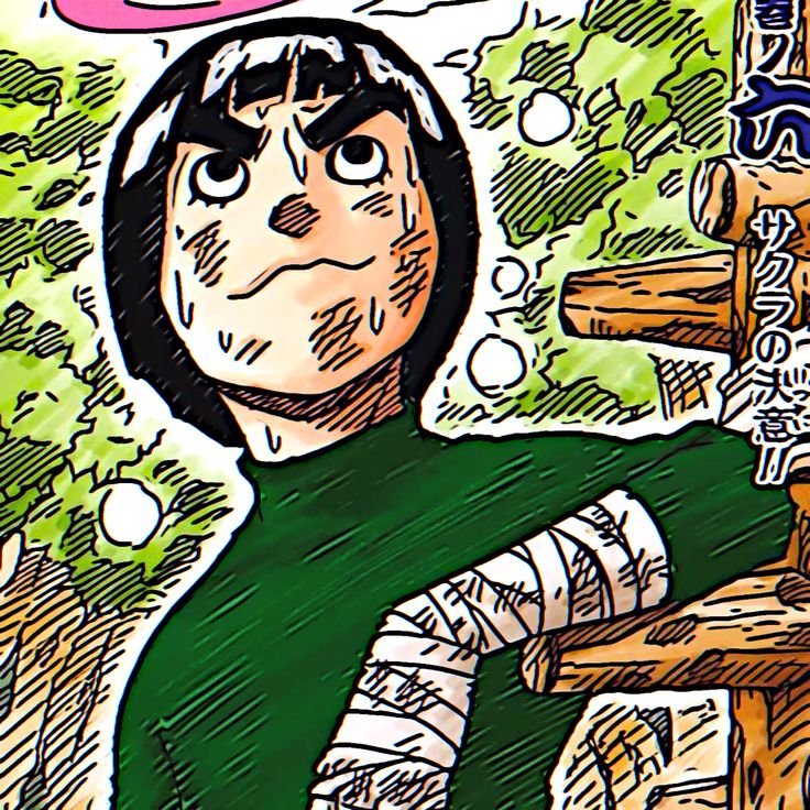 Rock Lee PFP HD