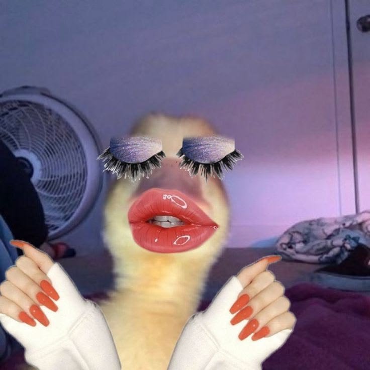 Silly PFP For Girls