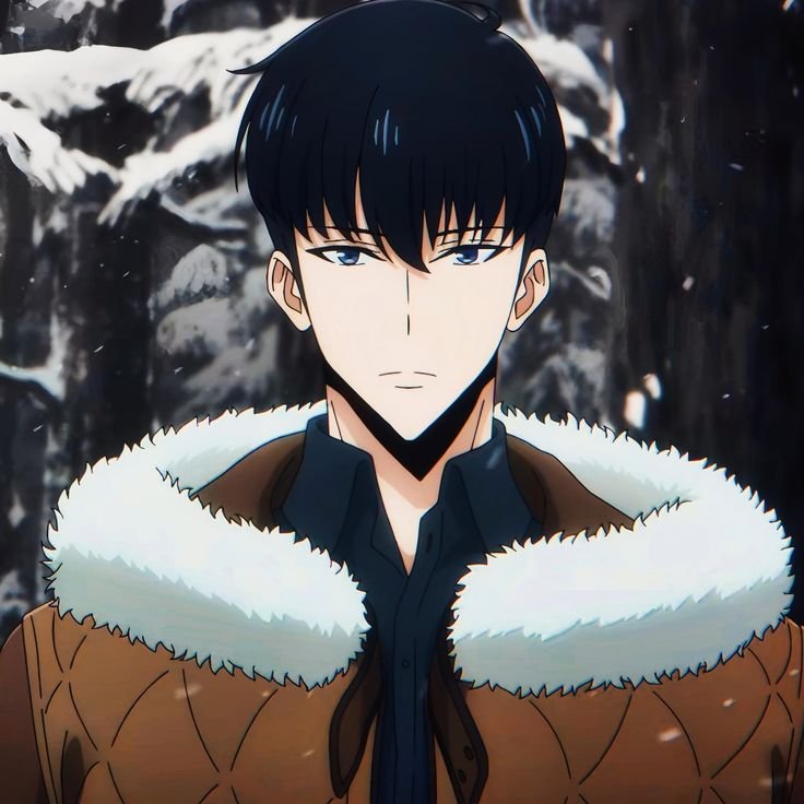 Solo Leveling PFP Cute