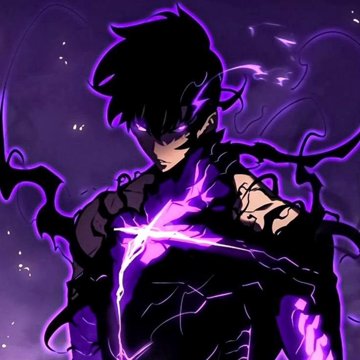 Solo Leveling PFP Discord