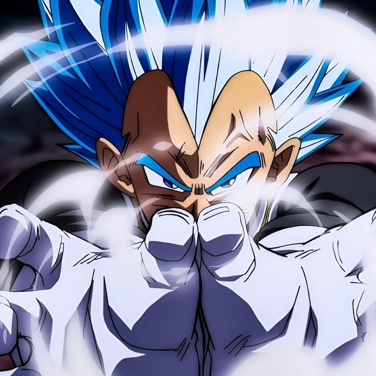 Vegeta Blue PFP
