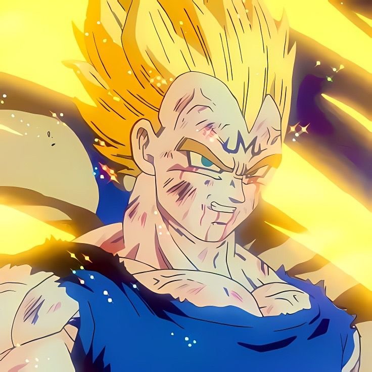 Vegeta PFP Aesthetic