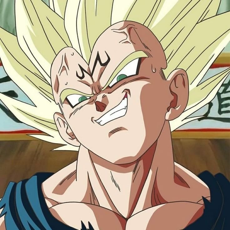 Vegeta PFP Aesthetic