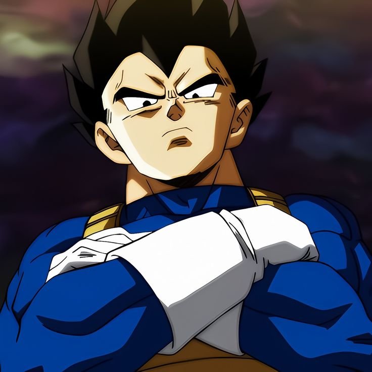 Vegeta PFP Anime