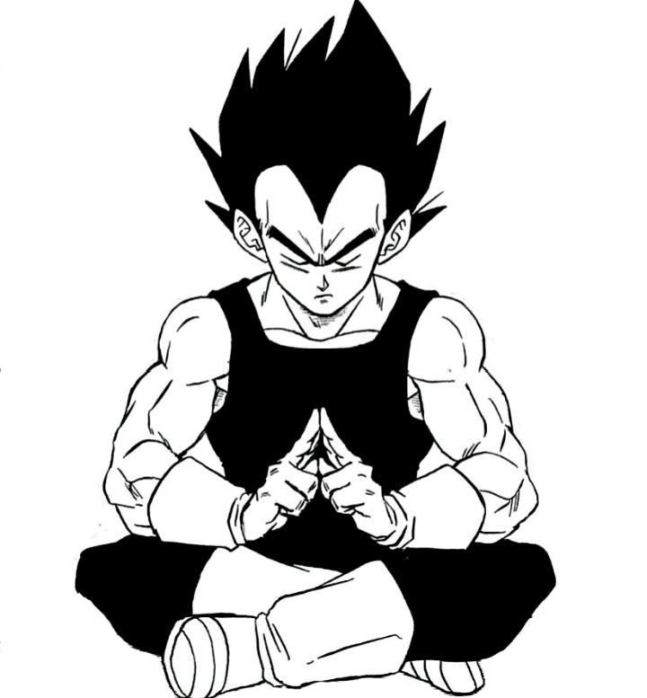 Vegeta PFP Black And White