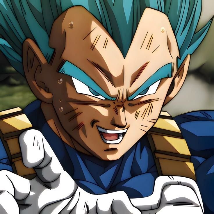 Vegeta PFP Cool