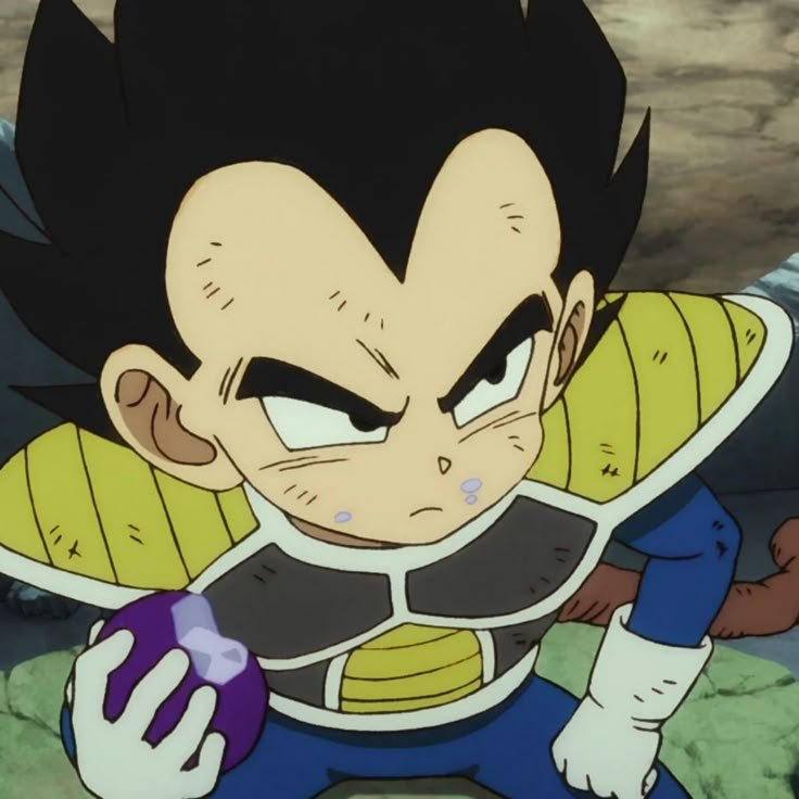 Vegeta PFP Cute