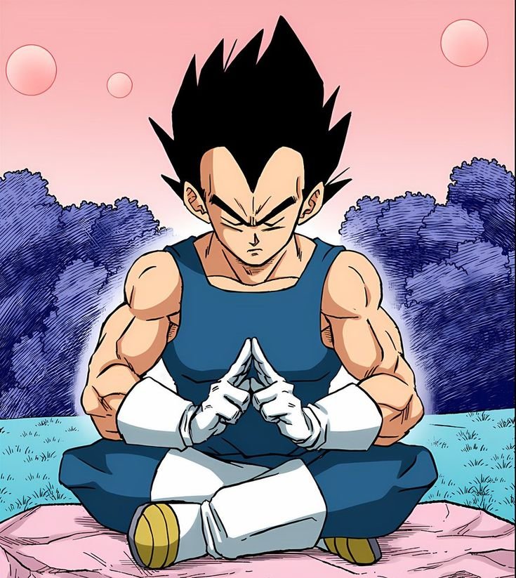 Vegeta PFP DBZ
