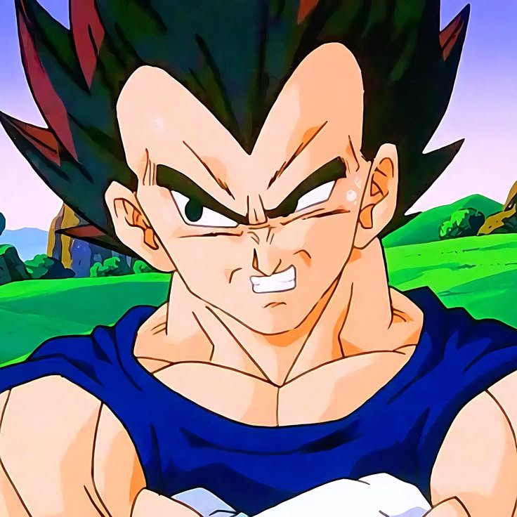 Vegeta PFP HD