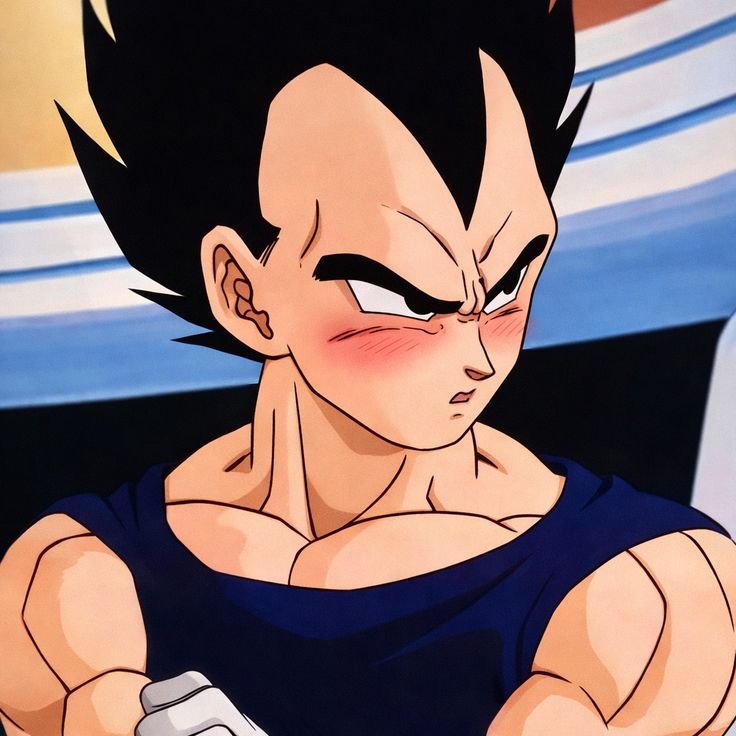 Vegeta PFP HD