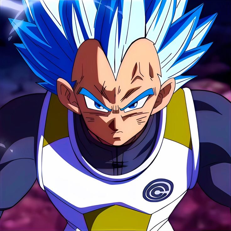 Vegeta PFP Wallpaper