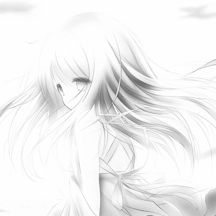 White Screen PFP HD